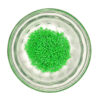 Duracoat Opaque Fiji Green Delica Seed Beads Size 11 184126