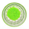 Duracoat opaque Kiwi Delica Seed Beads Size 11 184121