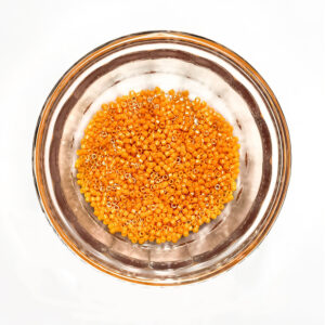 Dyed Opaque Squash Delica Beads Size 11