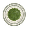 Opaque Avocado Green Delica Seed Beads Size 11 184566