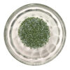 Opaque Avocado Luster Delica Seed Beads Size 11 185566