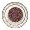 Silverlined Amethyst AB Size 11 182162