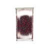 Silverlined Dark Red size 11 container 181323 (01)