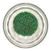 Silverlined Rainbow Emerald size 11 container 182156