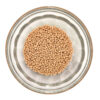 Solgel Chalk Mocha size 11 container 181188