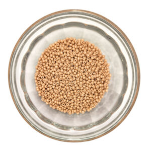 Solgel Chalk Mocha size 11 container