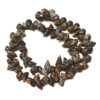 Spiral Shell Beads