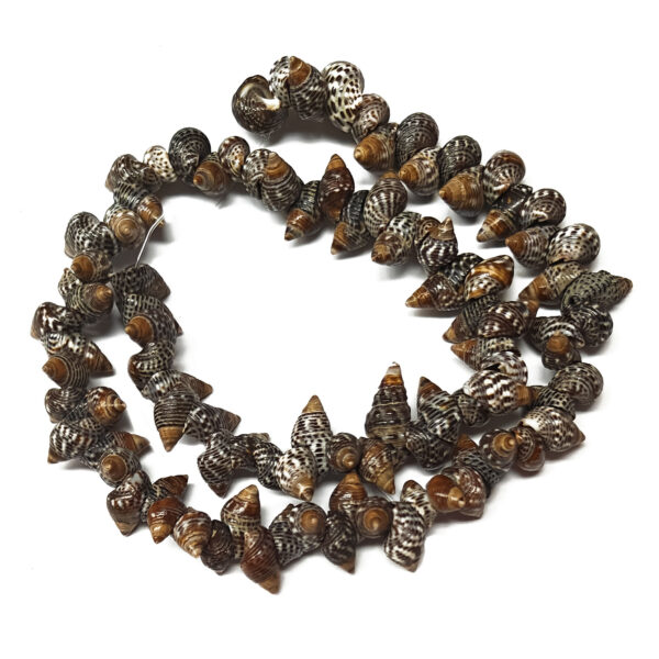 Spiral Shell Beads