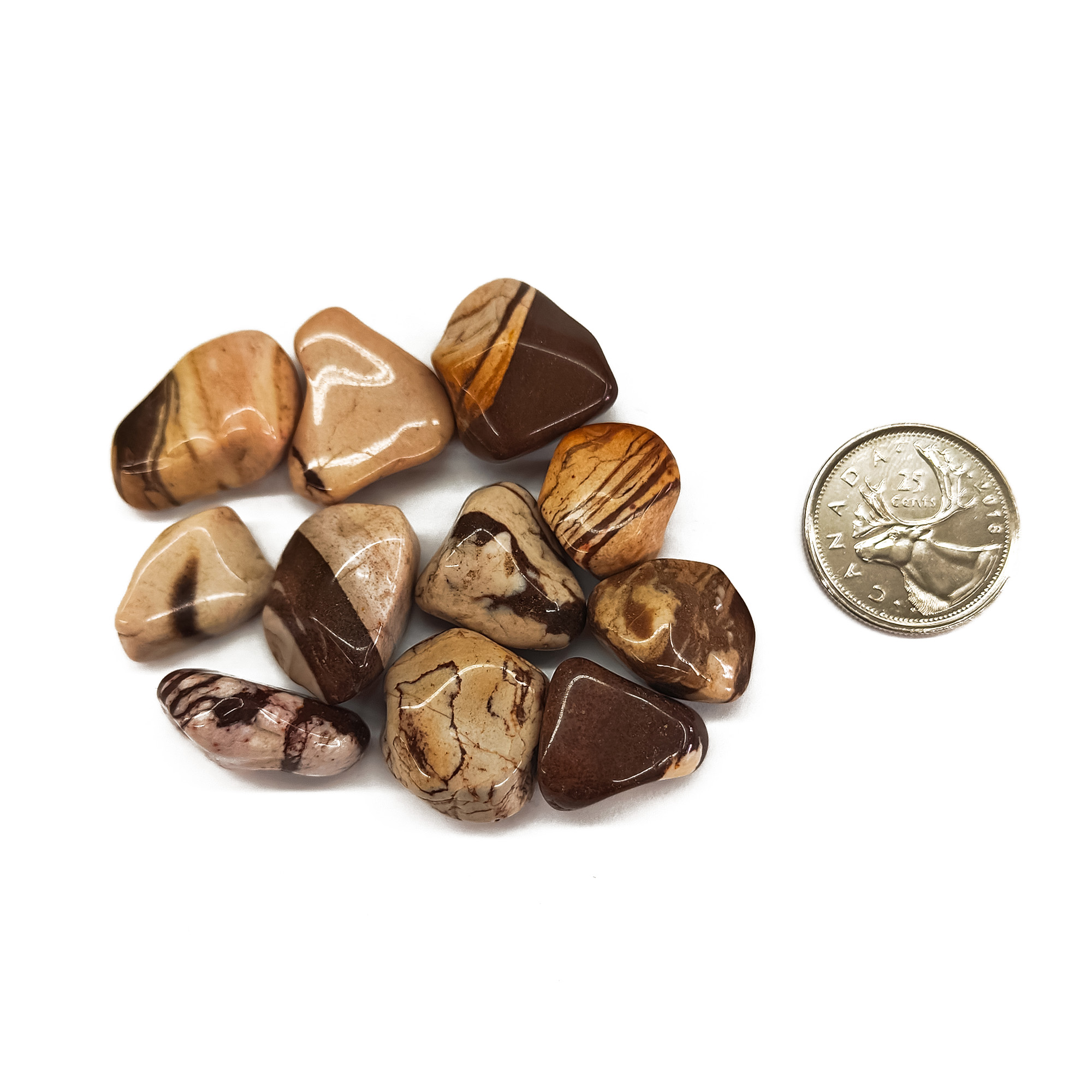Tumbled Brown Zebra Jasper 2 Tumbled Brown Zebra Jasper 2