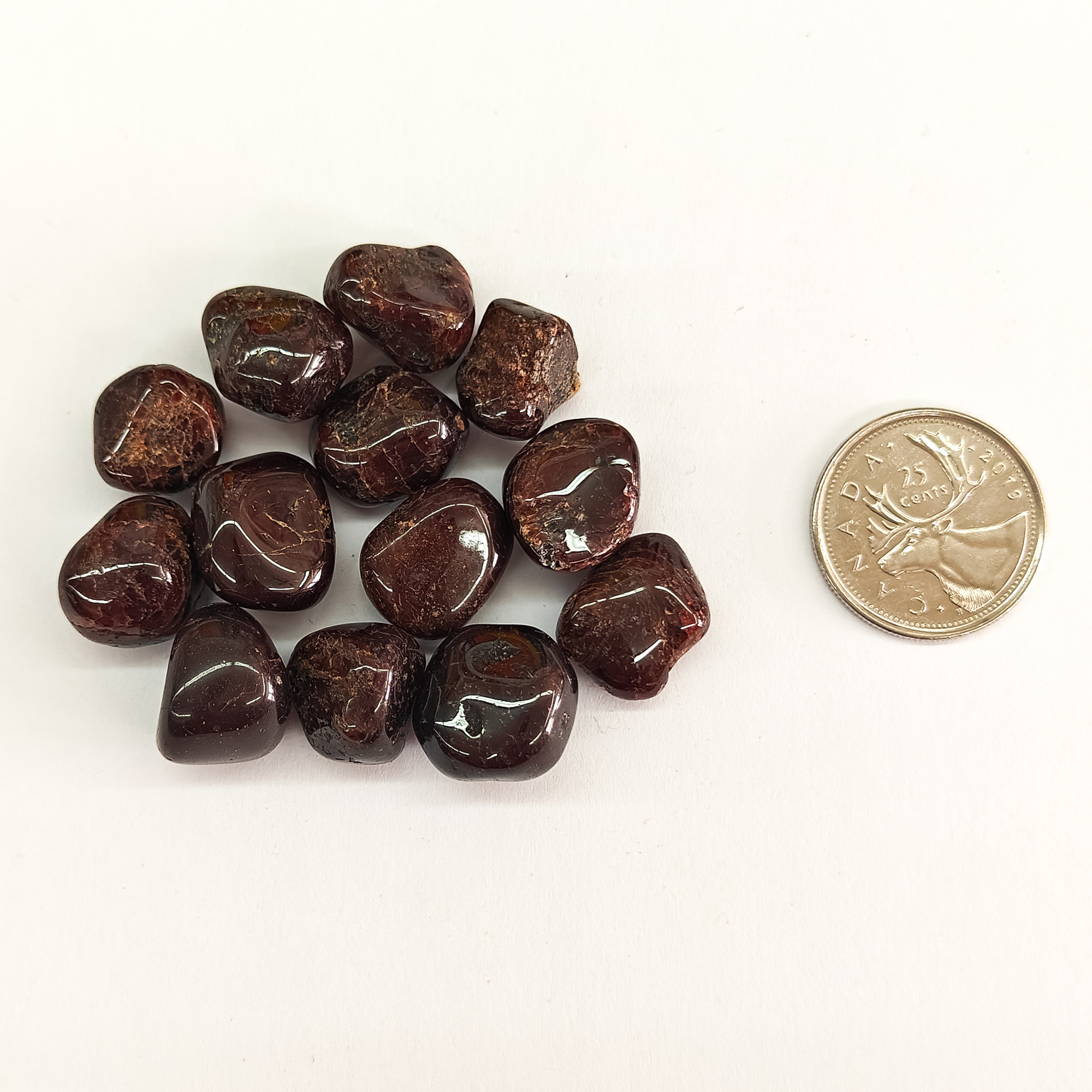 Tumbled Garnet Medium Size Photo