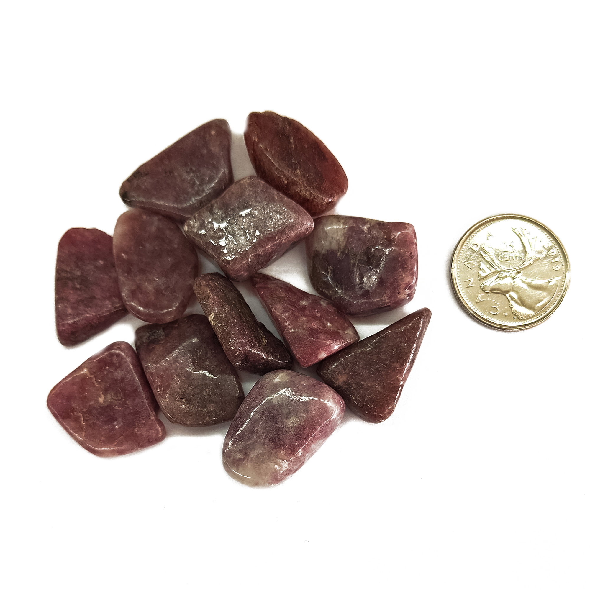 Tumbled Lepidolite Small Size Compare