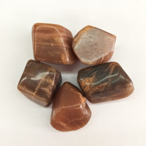Tumbled Peach Moonstone Large
