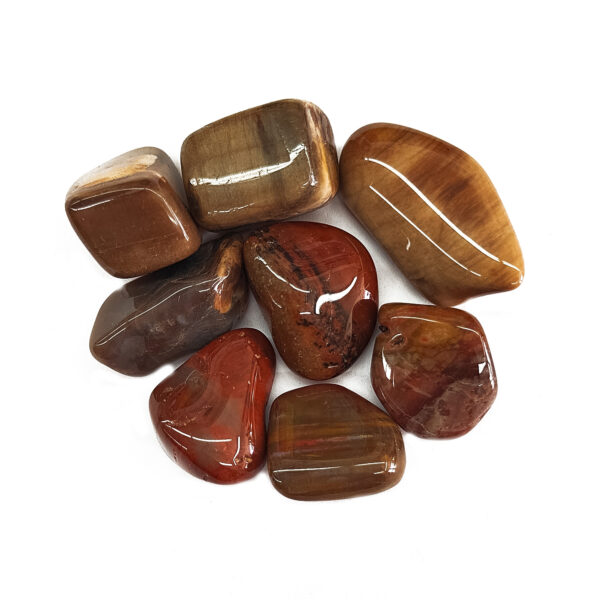 Tumbled Petrified Wood Large