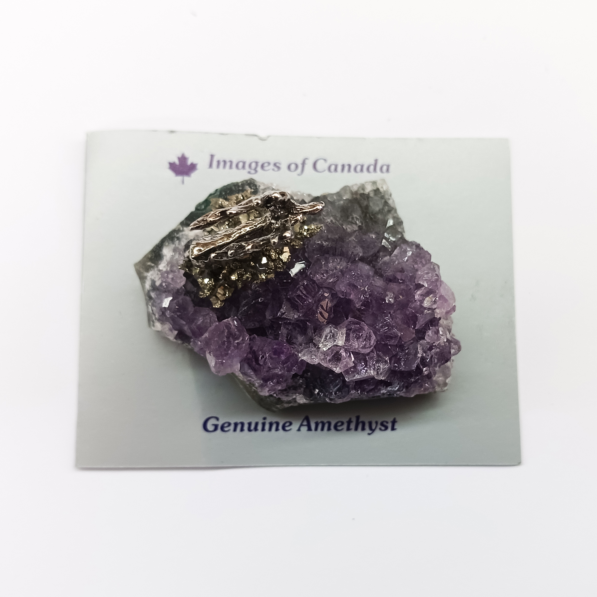 Amethyst Cluster w Moose Top View