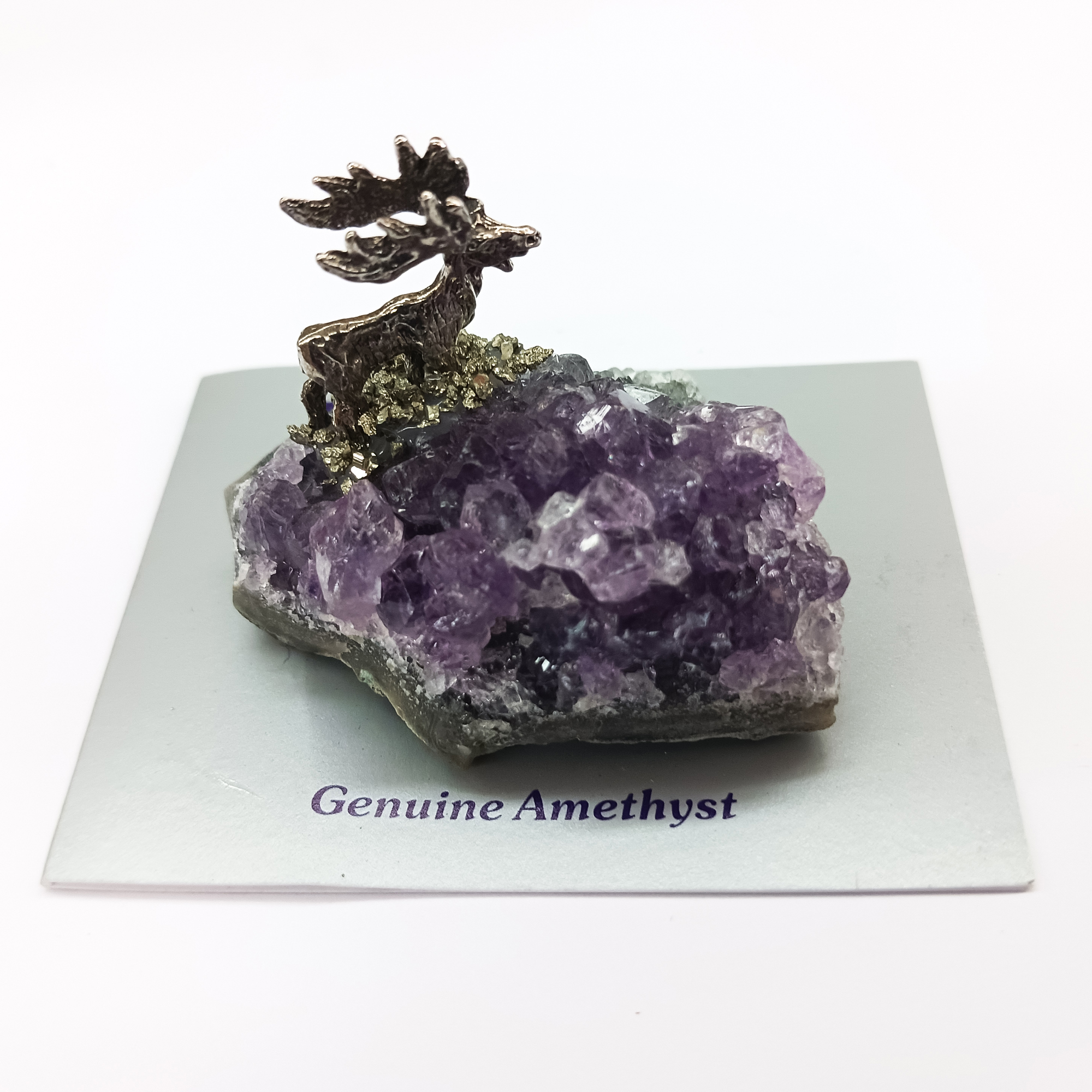 Amethyst Cluster w Moose