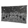 Lunar Cycle Single