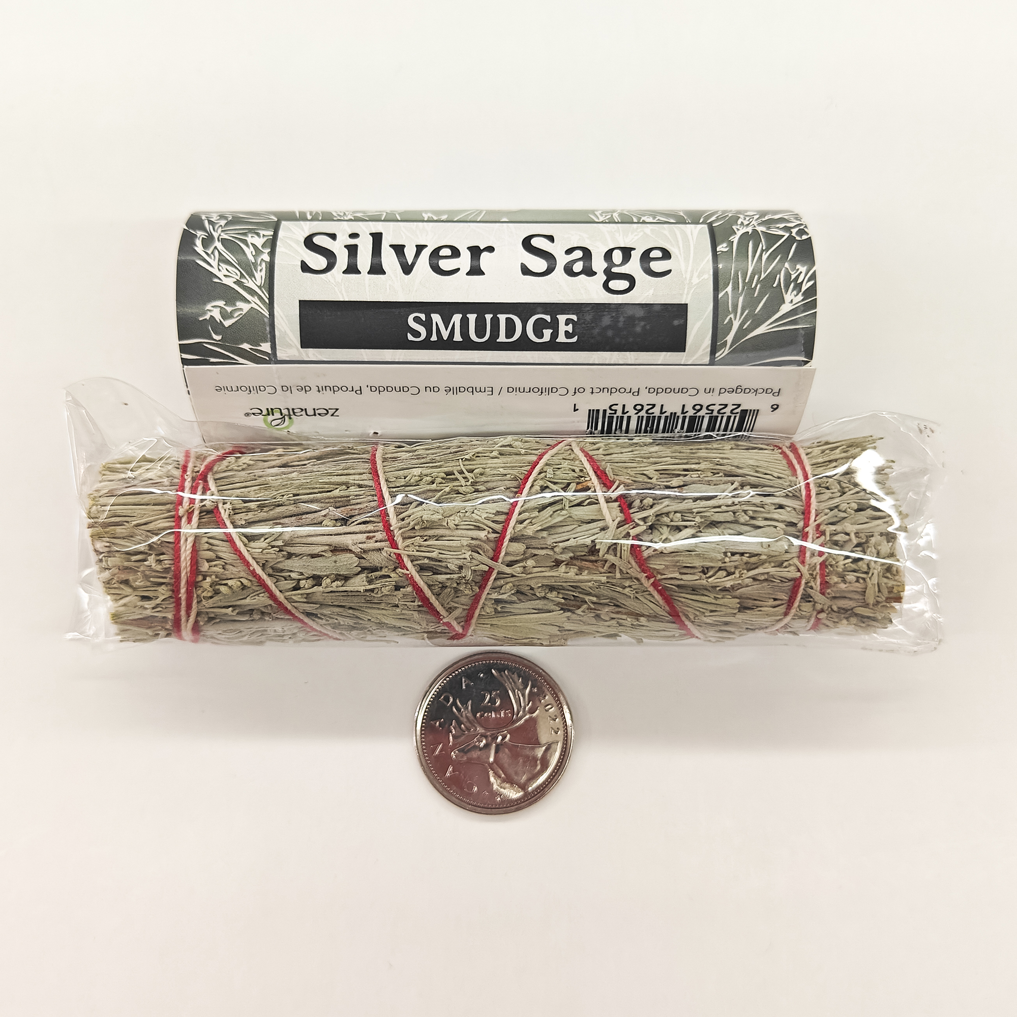 Small Sage Size Compare