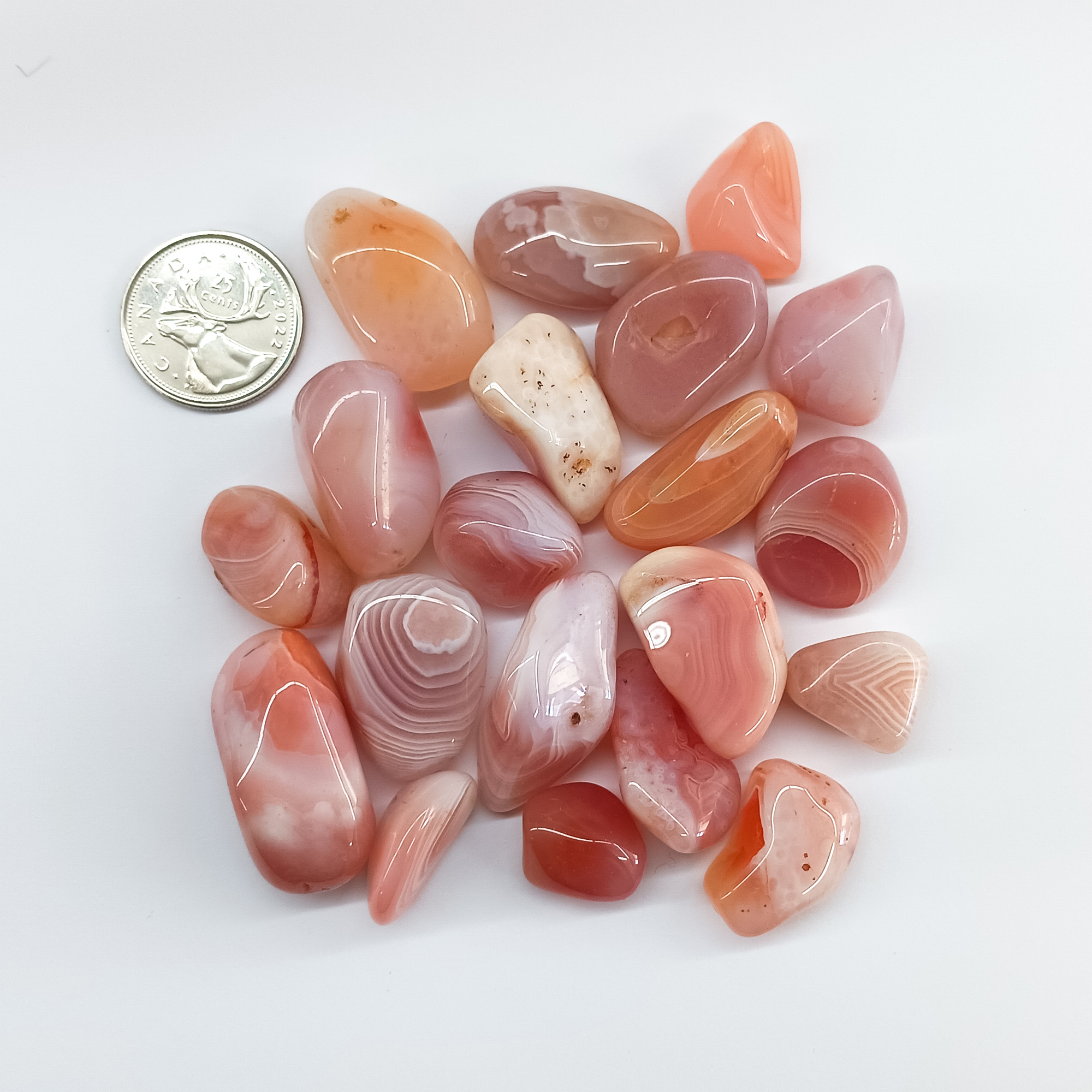 Tumbled Apricot Agate Size Compare