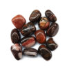 Tumbled Bamboo Leaf Agate