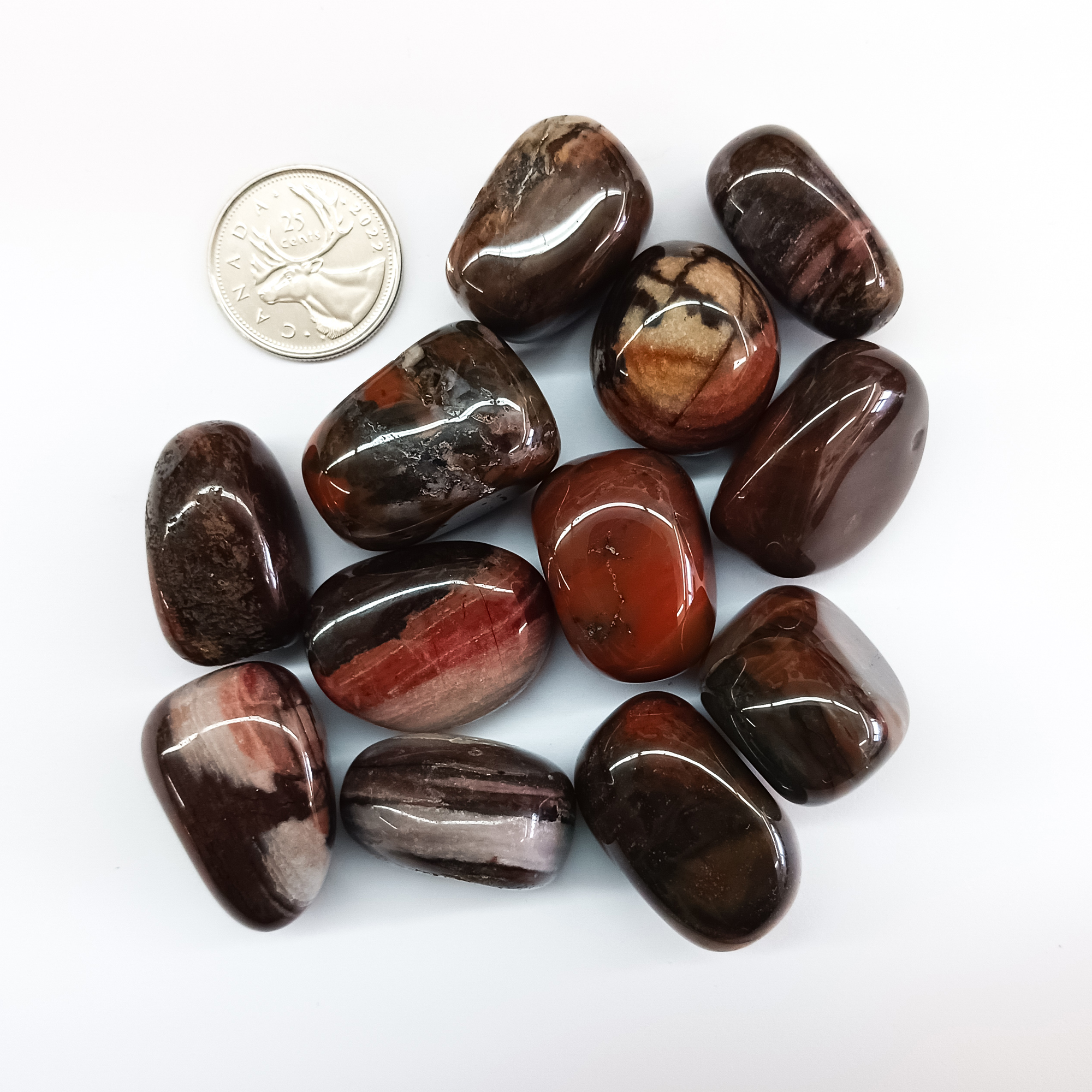 Tumbled Bamboo Leaf Agate Size Compare