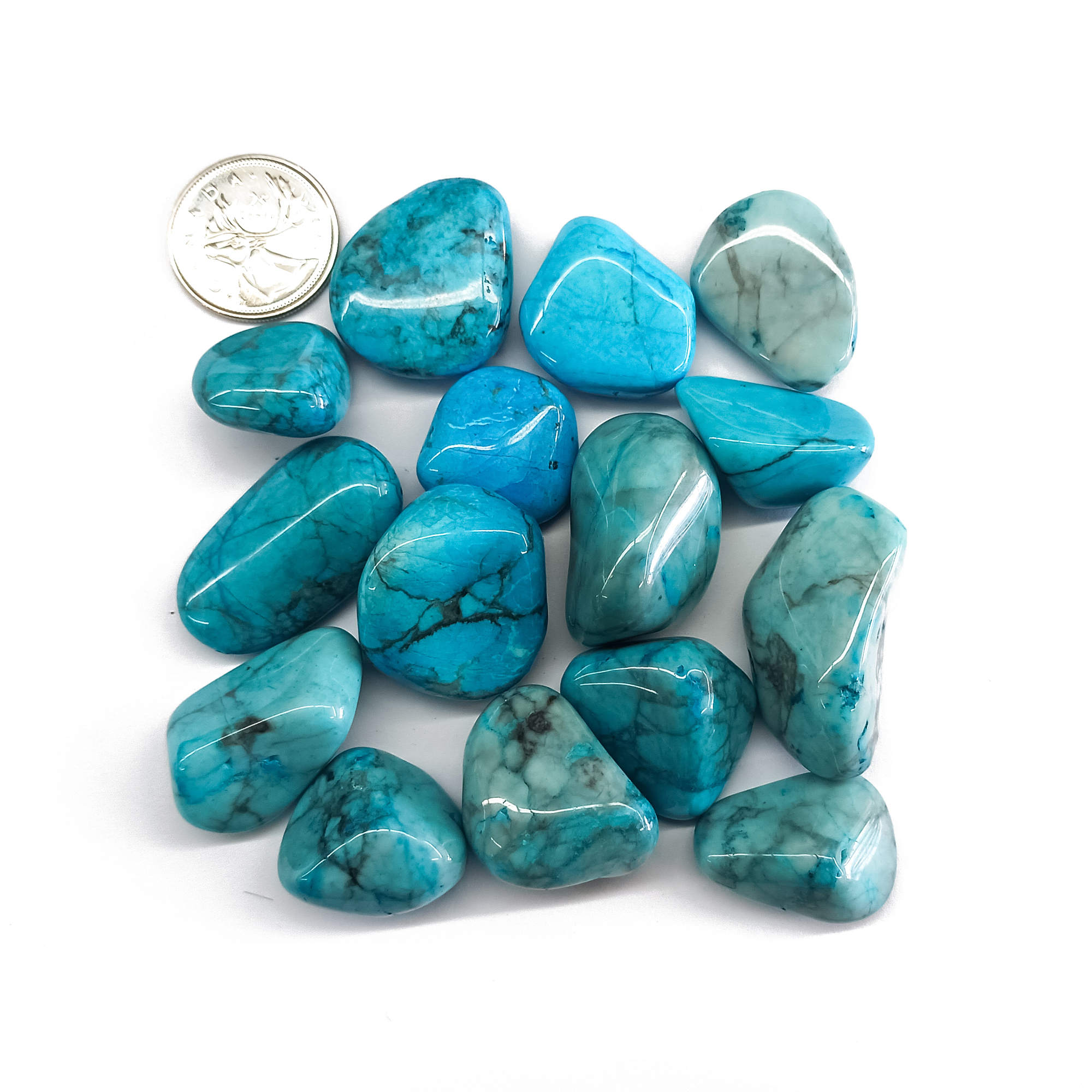 Tumbled Dyed Howlite Size Compare