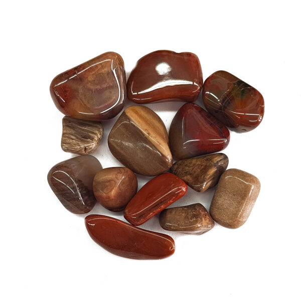 Tumbled Petrified Wood Small