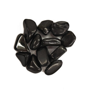 Tumbled Shungite Small