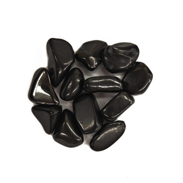 Tumbled Shungite Small 1