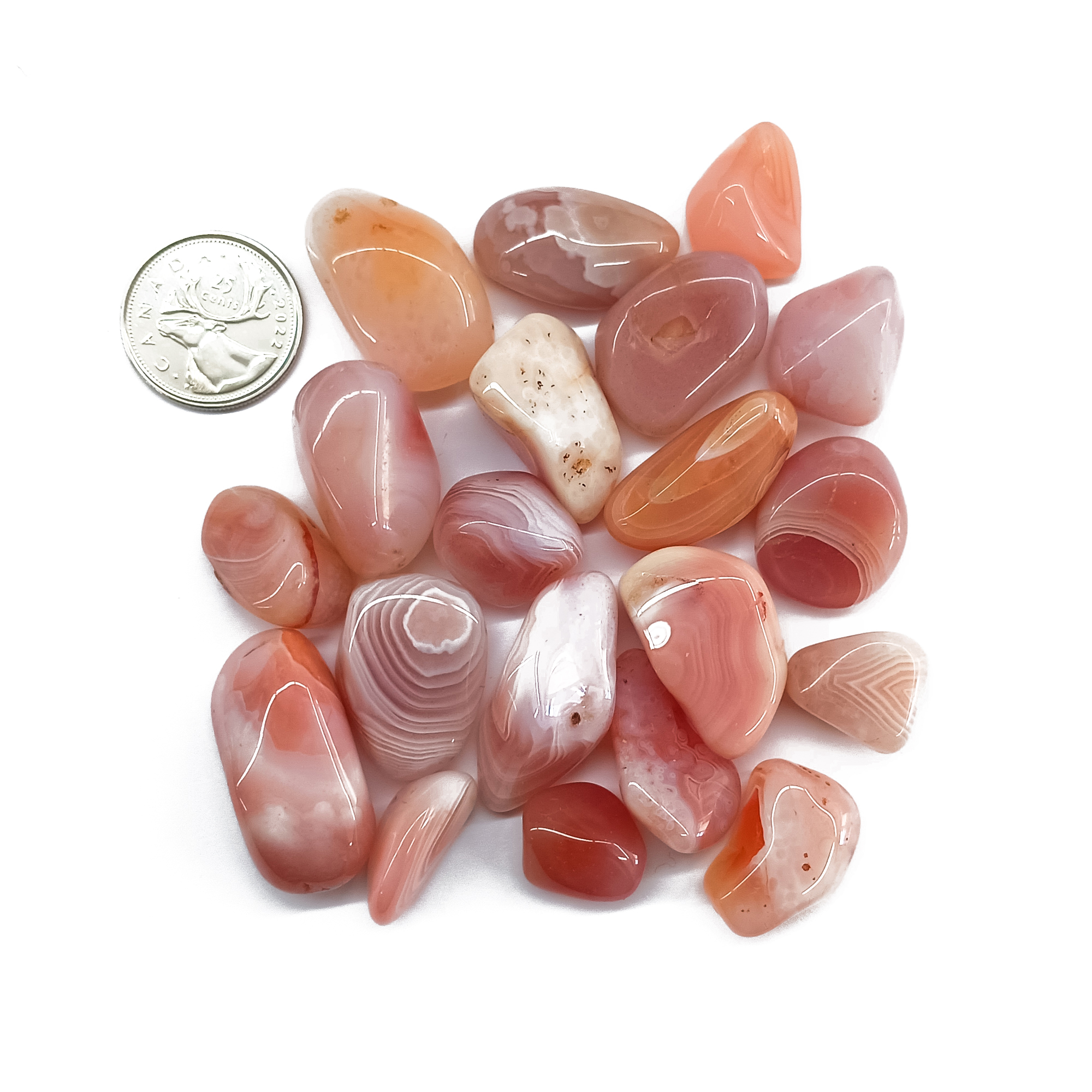 Tumbled Apricot Agate Size Compare