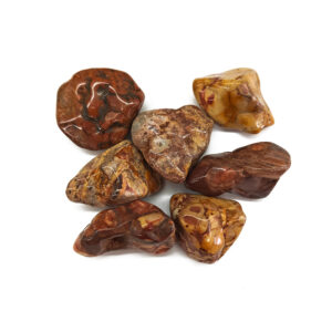 Birds Eye Jasper Tumbled