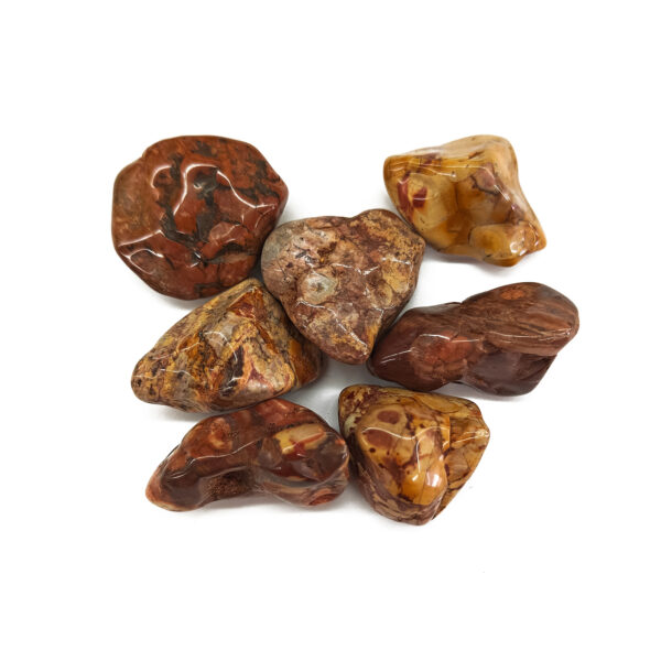 Tumbled Birds Eye Jasper 1