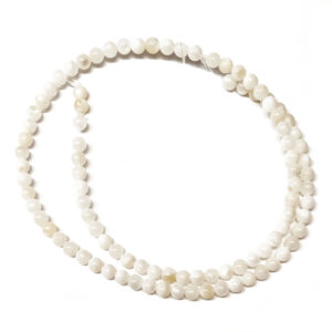 Shell 4mm Beads White