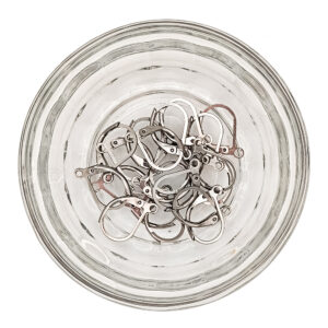 316 Stainless Steel Leverback Earring Hooks 10 Pair